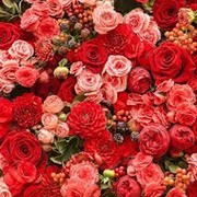 Асель Аканова on My World.