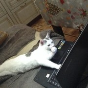 Анатолий Кунавин on My World.