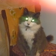 Михаил Tимофеев on My World.