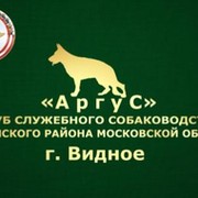 Дрессировка собак  Видное Домодедово Подольск Москва  группа в Моем Мире.
