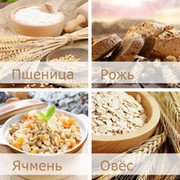 непереносимость глютена - ЦЕЛИАКИЯ, А ТАКЖЕ ДЛЯ ТЕХ, КТО ЖЕЛАЕТ  группа в Моем Мире.