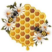 продукты пчеловодства "ТЕНТОРИУМ" группа в Моем Мире.