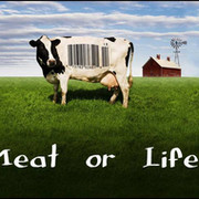 Meat-or-Life? Вегетарианское движение. Мясо-или-жизнь? группа в Моем Мире.