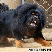 александр костин on My World.