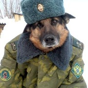 Александр Гросов on My World.