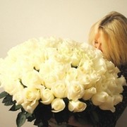 Елена Лукьянова в Моем Мире.