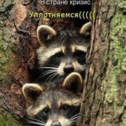 саша крылов on My World.