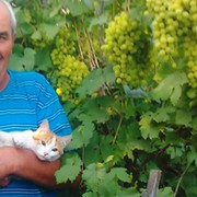 Елезавета Драничникова on My World.
