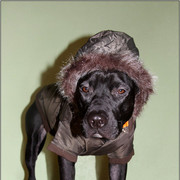 Максим П on My World.
