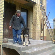 андрей трегубов on My World.