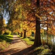Андрей --- on My World.
