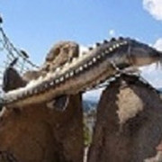 Андрей Пушкин on My World.