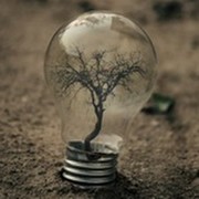 Авгст Поляков on My World.