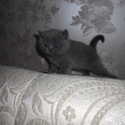 Наталья Бобкова on My World.