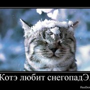 Bulat GAYANOV on My World.