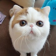 П,,,,. )))))))))) on My World.