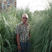 Игорь Шведов on My World.