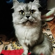 Наталья Жесткова on My World.