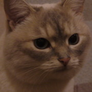 Марина Котова on My World.