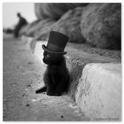 Муса Садыков on My World.