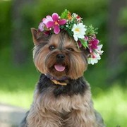 Яна Олейникова on My World.