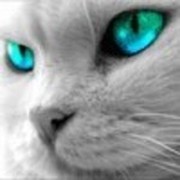 Ольга Васильева on My World.