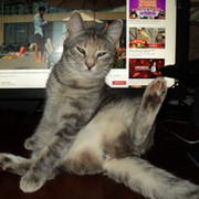 Masha Mashina on My World.