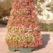 Владимир Палаш on My World.