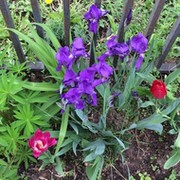 Оксана Пятковская on My World.
