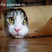 Светлана Бондаренко on My World.