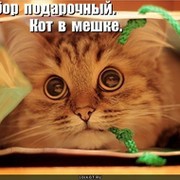 Оксана Щеколдина on My World.