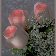 <~  Елена ~> on My World.
