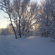 Александр Пискун on My World.