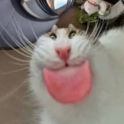 Татьяна Мартыновна Мичак on My World.