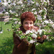 Елена Верхола-Куценко on My World.