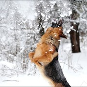 Виталий С on My World.