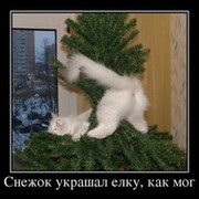 имя фамилия on My World.