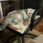 Наташа Пчельникова Кл on My World.