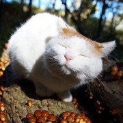 Маришка Церителли on My World.